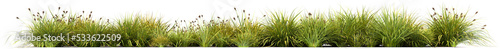 Obraz na płótnie grass line 1 fresh w salonie