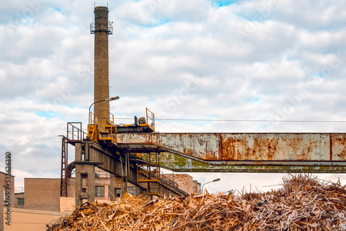 Pile of wood waste for thermal power plant