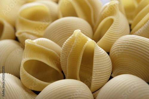 Closeup group of italian pasta Lumache with blurred background