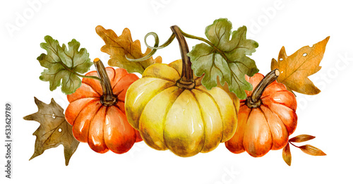 Watercolor pumpkin autumn thanksgiving fall holiday design. Floral composition orange plant card