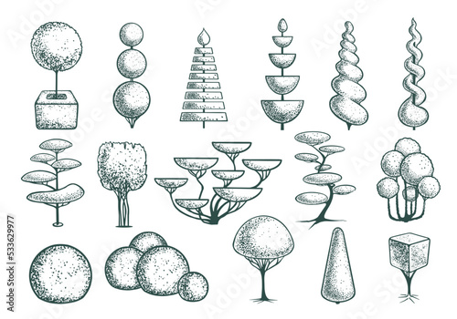 Seth sketch topiary tree shapes. Geometric trees for advertising and landscape design. Isolated on white background. Vector. photo