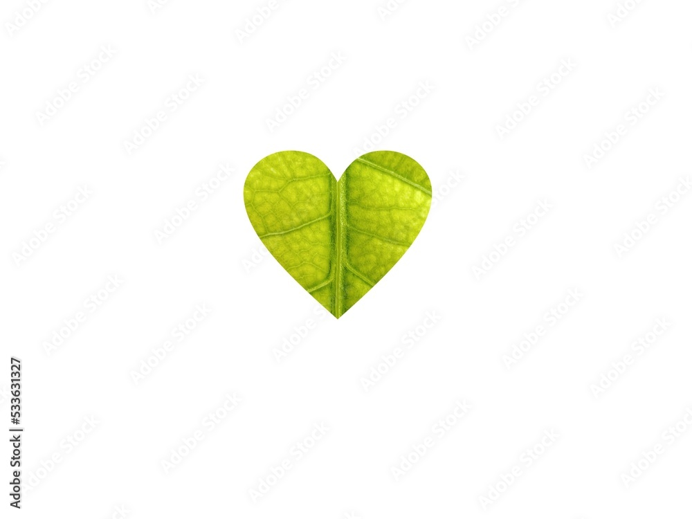 The green heart is a symbol of love for the earth and the environment