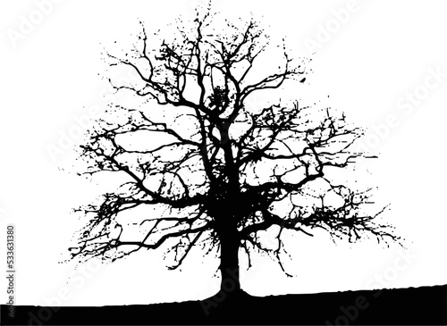 Silhouette of a tree standing alone vector