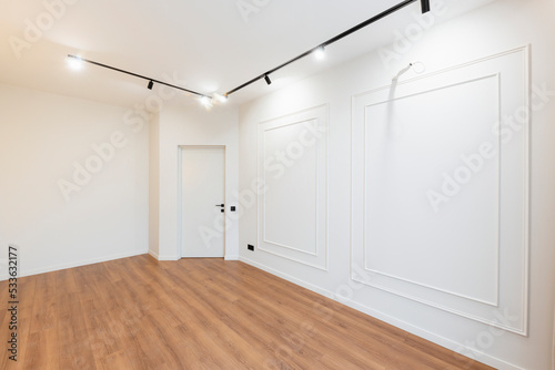 interior design of empty bright room with wooden floor and lighting