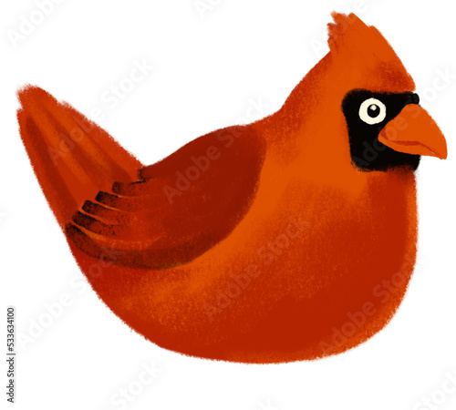 Fotografia Angry bird real red Cardinal songbird cartoon chalk drawing illustration