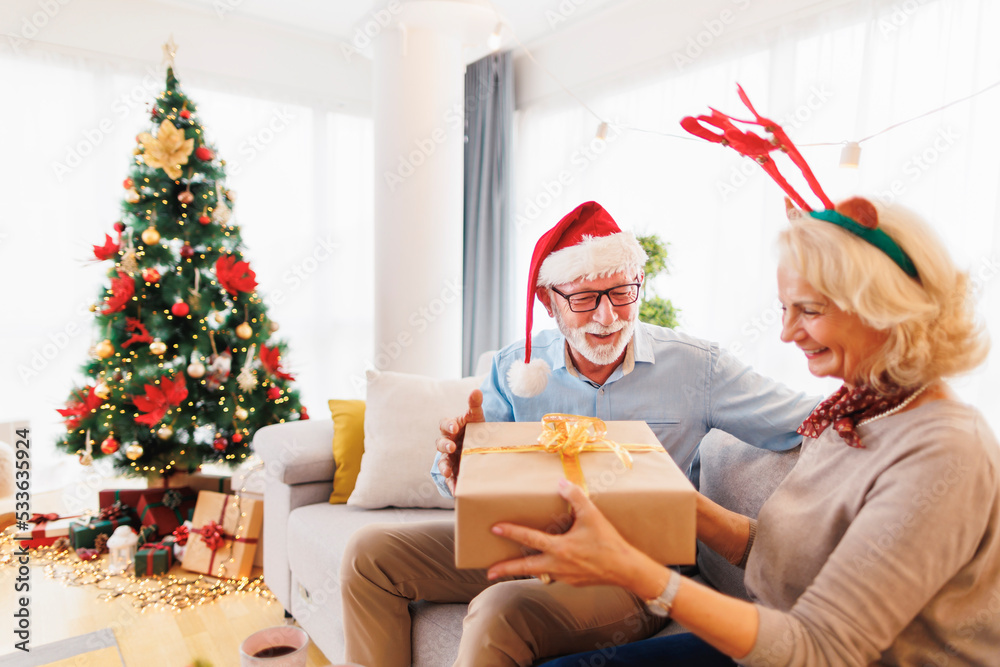 Fototapeta premium Senior couple exchanging Christmas presents