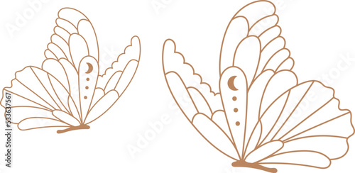 Flying butterflies boho lined illustration