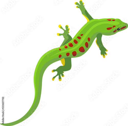 Exotic lizard Reptile Amphibian illustration