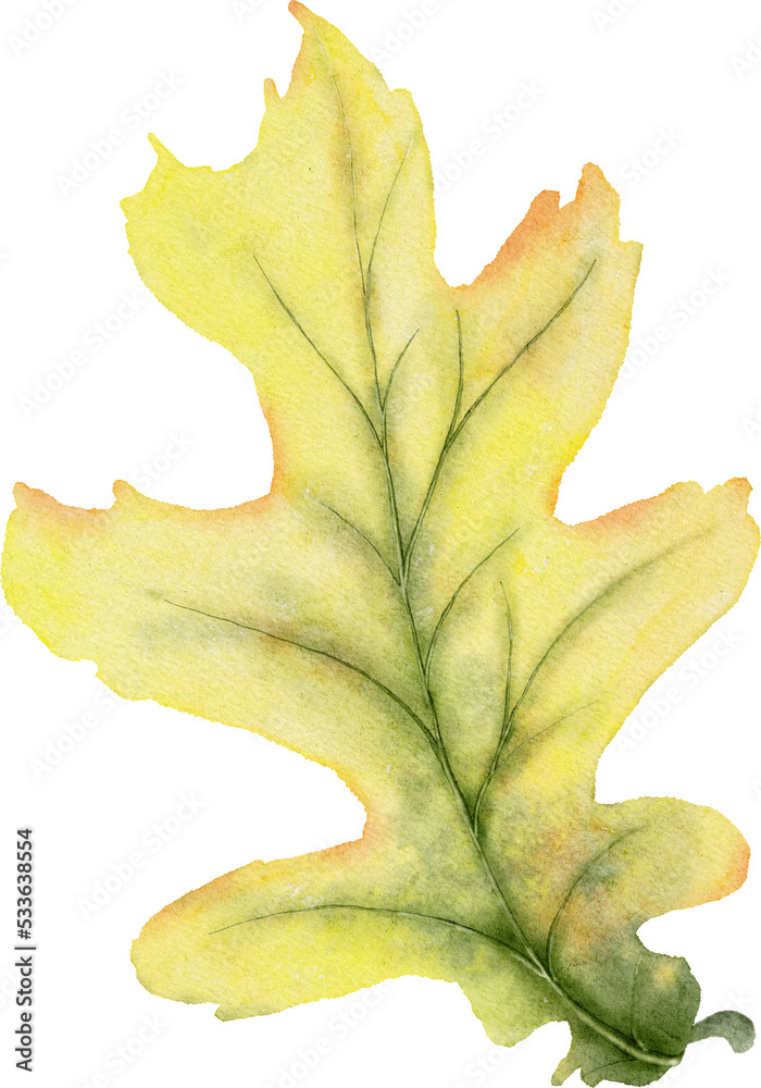 Fototapeta premium Autumn Leaves Watercolor