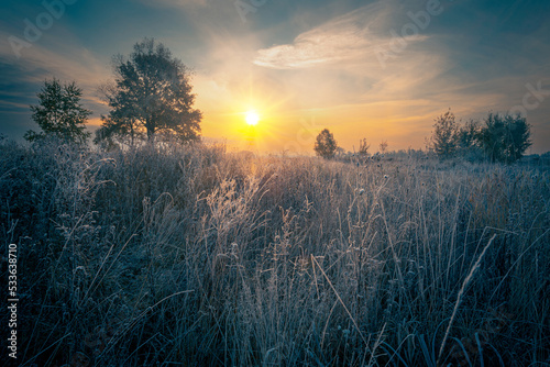 Gorgeous morning on a cold autumn high grass meadow with rime crystals. Frosty sunrise background. Hoarfrost on the high grass.
