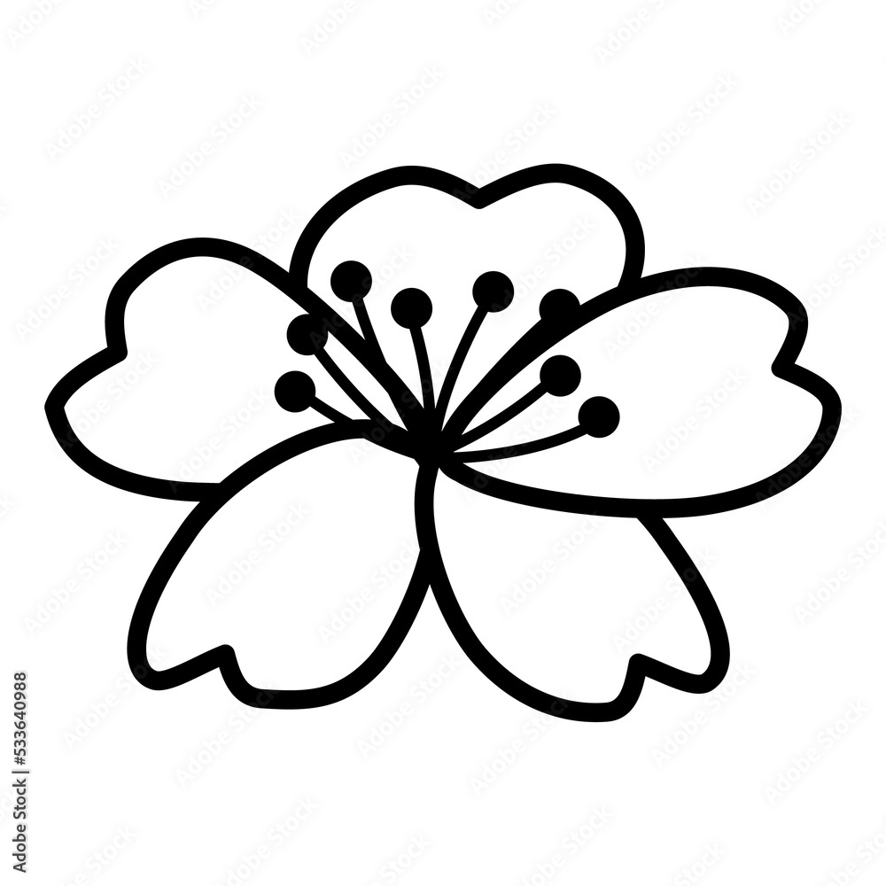 Cherry blossom flower outline illustration Stock Illustration Adobe Stock