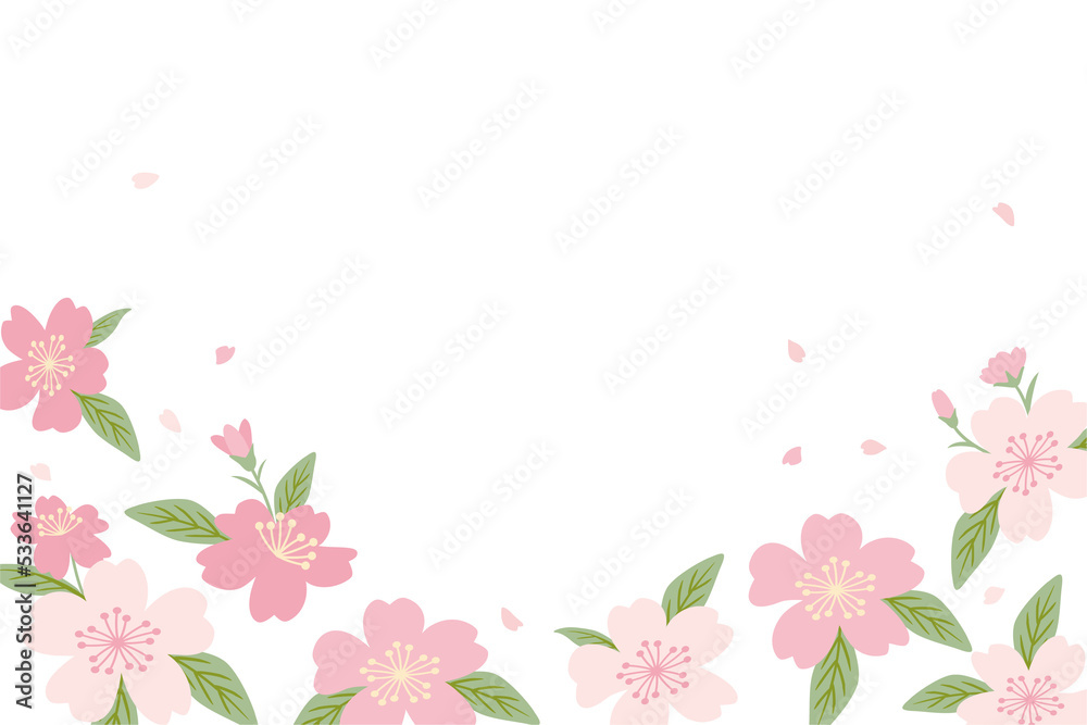 Cherry blossom flower frame illustration Cherry blossom flower frame illustration