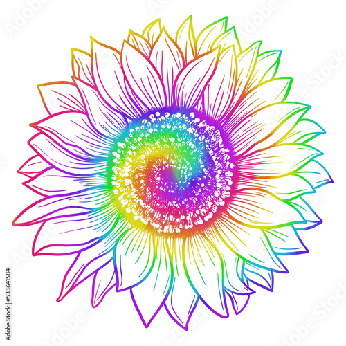 Sunflower Colorful Outline Hand Drawn Illustration