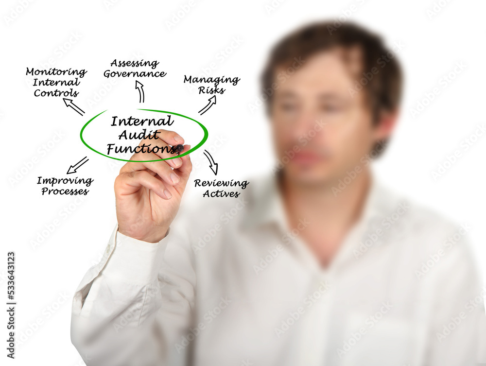 Presenting Five Internal Audit Functions Presenting Five Internal Audit Functions