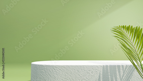 Beauty cosmetic product studio setup. Product display podium. Natural leaves on a green background. 3D rendering photo