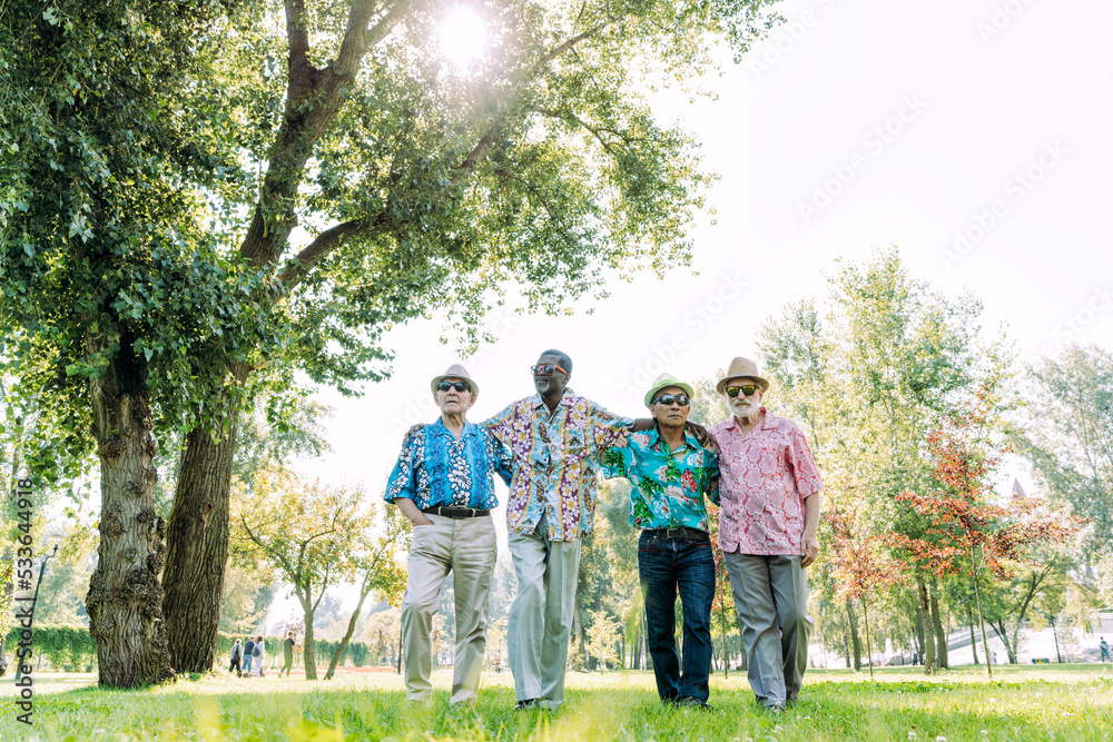 Fototapeta premium group of senior friends playing at the park