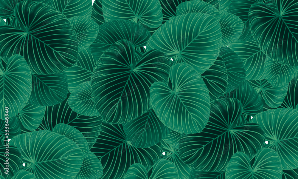 Green tropical leaves pattern abstract spring nature wallpaper design background