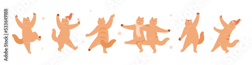 Fotografiet Dancing funny cats