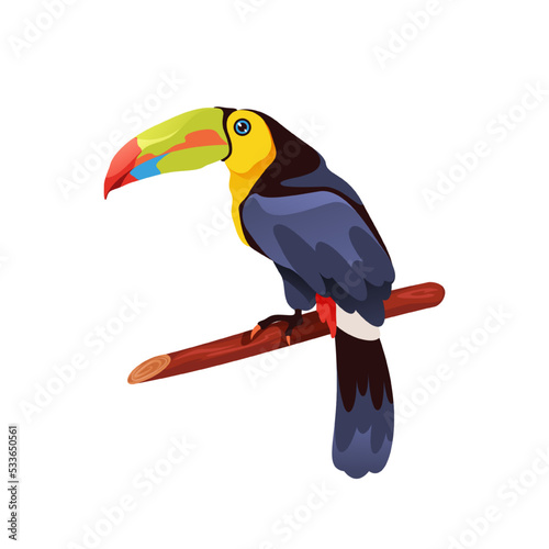 Keel billed toucan bird, vector icon or clipart.