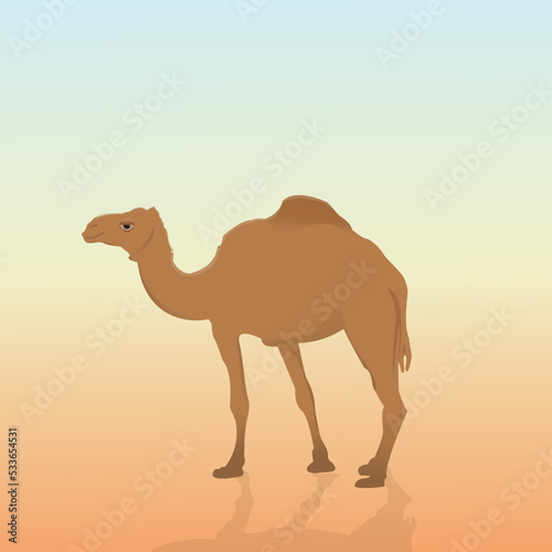 Desert camel with shadow and gradient background