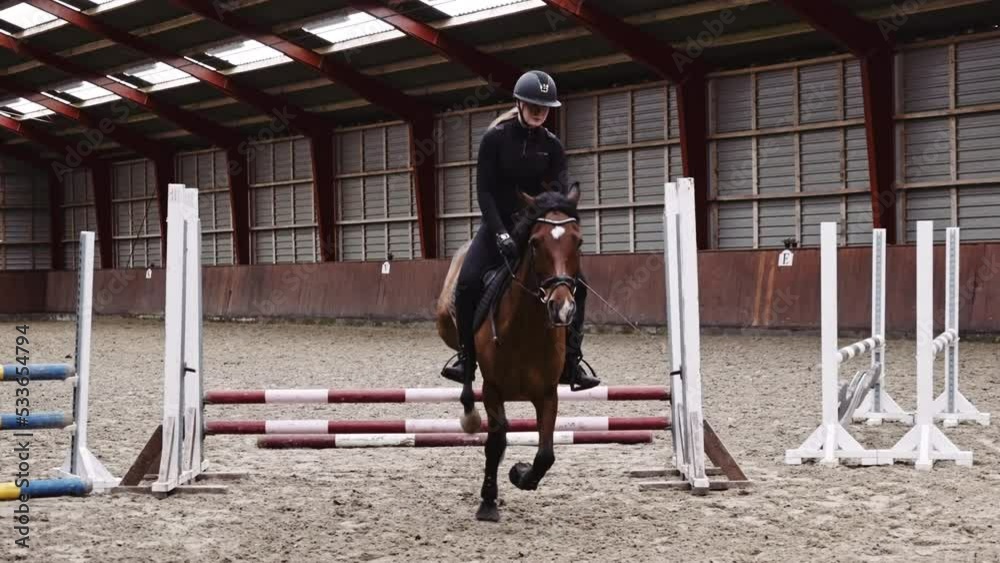 Equestrian Lady Trains a Horse to Jump an Over Obstacle at Indoor Arena Equestrian Lady Trains a Horse to Jump an Over Obstacle at Indoor Arena