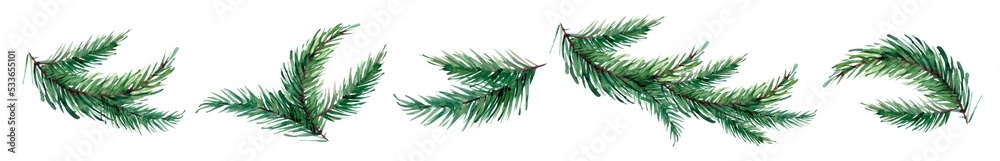 Watercolor new year fir branches isolated on white