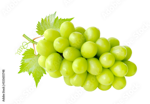 Beautiful bunch of fresh green Shine Muscat grape with leaves and vine isolated on background.