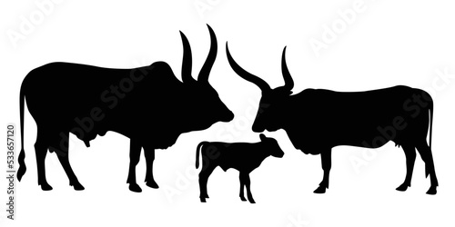 Long cow dress. cow silhouette black white isolated hand drawn vector cow silhouette vector illustration