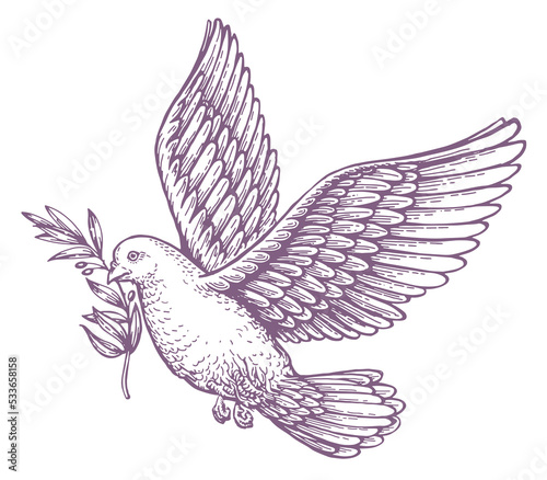 Flying dove and olive branch isolated on white background. Peace concept. Biblical symbol vintage sketch illustration