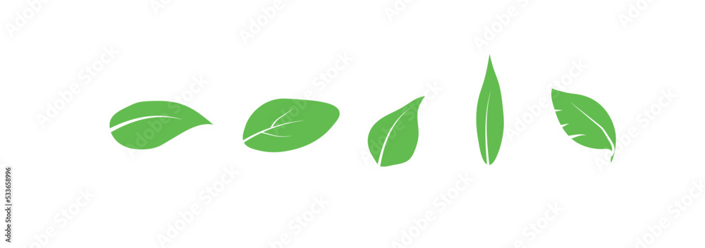 Leaf vector icon logo on white background