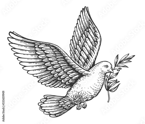 Flying peace dove with olive branch. Spiritual purity symbol sketch. Vector illustration in vintage engraving style