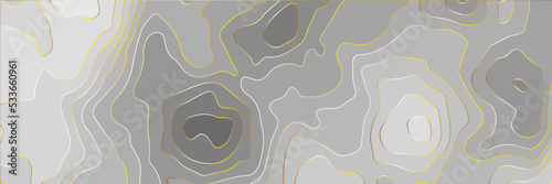 The stylized colorful wavy abstract topographic map contour, lines Pattern background. Topographic map and landscape terrain texture grid. Wavy banner and color geometric form.