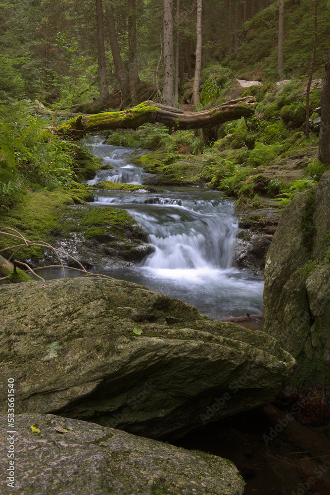 The Bila Opava River in Jeseniky mountains in Czechia at summer time. A waterfall falling under a moss-covered tree in the forest. The Bila Opava River in Jeseniky mountains in Czechia at summer time. A waterfall falling under a moss-covered tree in the forest.