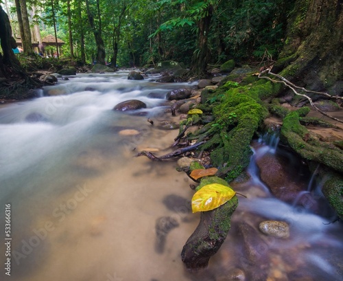 Beautiful nature river flowing with sun rays pass through foliage trees