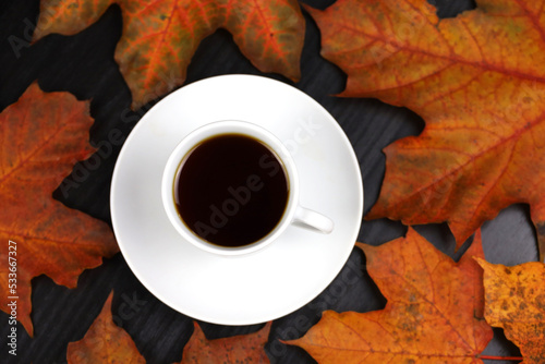 White cup of coffee or tea with saucer on red maple leaves and black table, top view. Hot drink in autumn weather