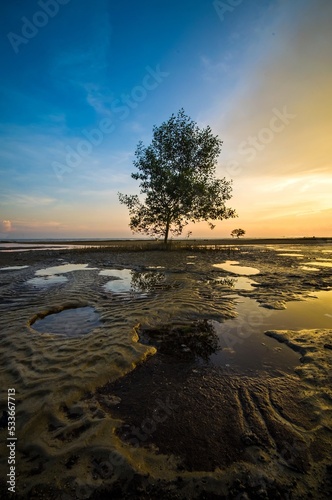 Beautiful sunset scenery at the beach