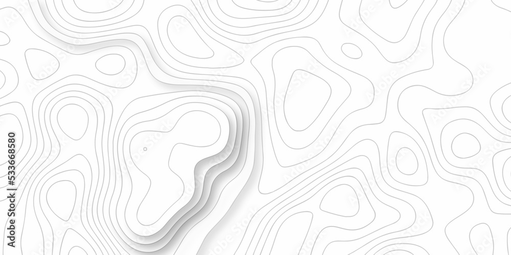 Topographic map background. silver line topography maount map contour background, geographic grid. Abstract vector illustration.	
