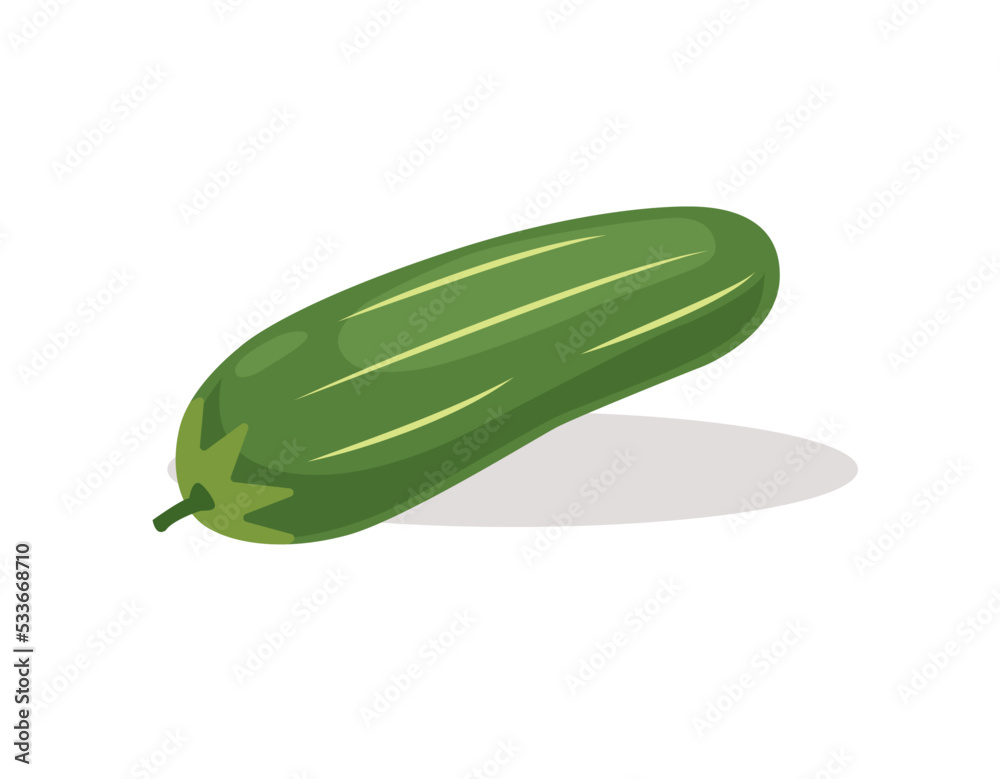 cucumber flat icon vector illustration symbol Isolated template. fruits and vegetable icon vector illustration logo template Isolated for any purpose. cucumber flat icon vector illustration symbol Isolated template. fruits and vegetable icon vector illustration logo template Isolated for any purpose.