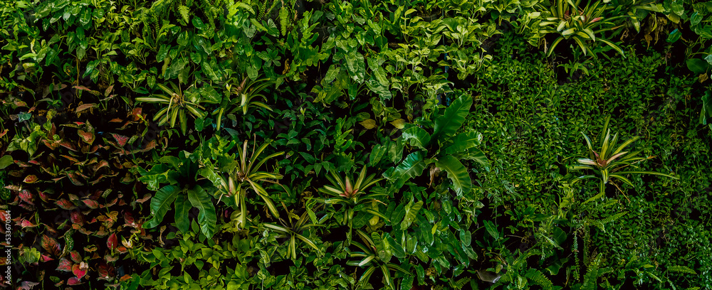 Εκτύπωση καμβά Nature green background, tropical leaf banner or floral forest concept
