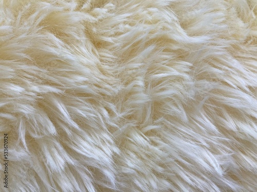 wool rug for texture background