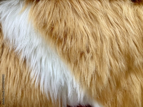 wool rug for texture background