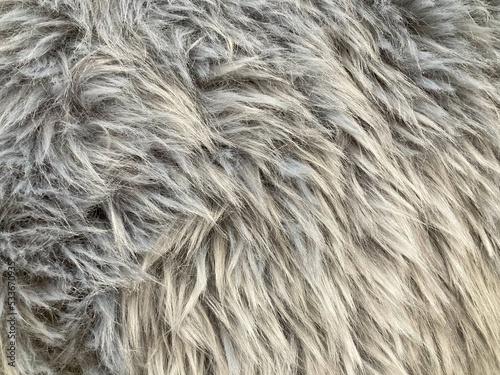wool rug for texture background