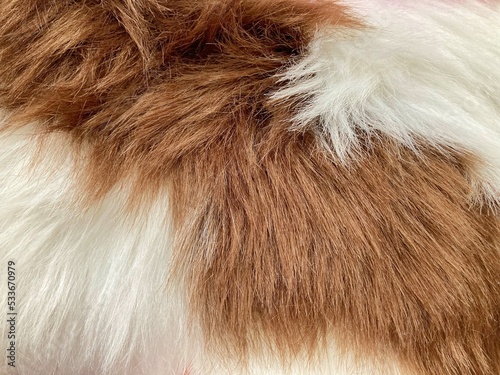 wool rug for texture background