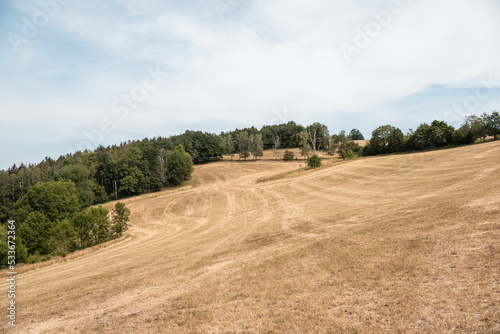Extremely dry mowed agricultural field in Ore Mountains "Erzgebrige", Saxony during drought of Germany 2022. Forest, blue sky summer trip. Amtsberg area.