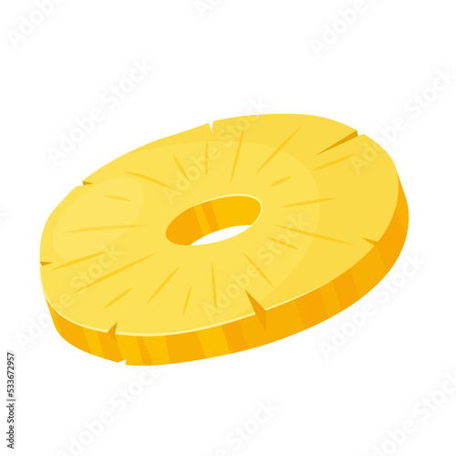 pineapple slices flat vector illustration clipart isolated on white background