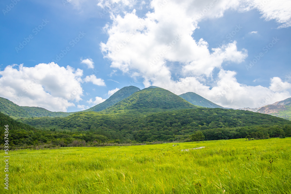 Fototapeta premium 大分県 長者原・タデ原湿原の風景 
