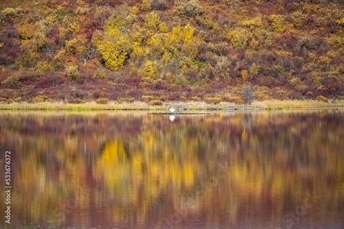 Yukon in Canada, wild landscape, reflection on the lake