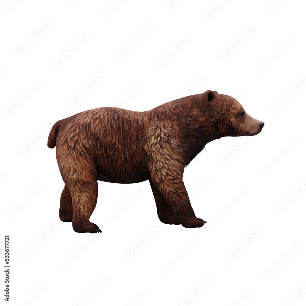 Fototapeta premium Bear