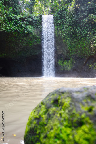 waterfall in the forest jungle - Bali