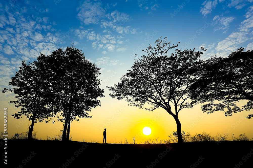 silhouettes of trees and people against the background of blue sky and sunset